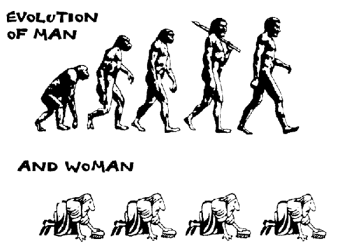 Эволюция в сравнение...)