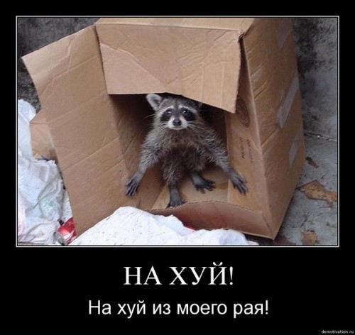 Малогабаритная квартира