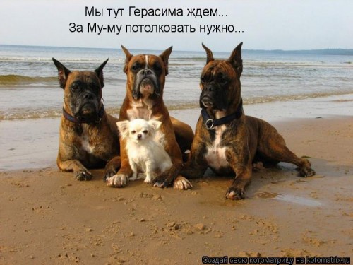 разговор есть...
