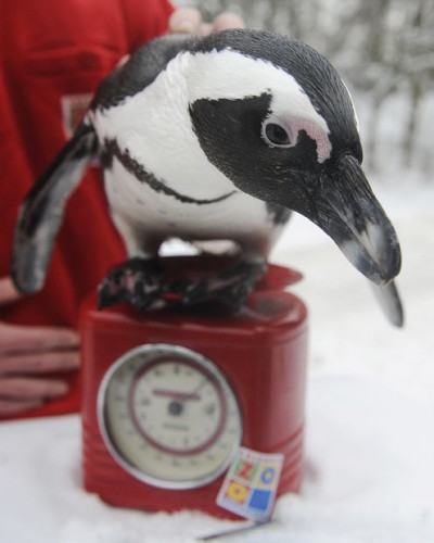 а ТЫ, задумалась о своем весе?? Весна на дворе!