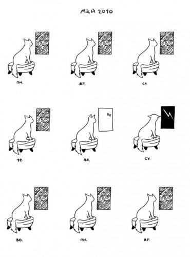 Один месяц из котячей жизни