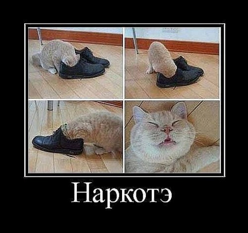 Наркотэ