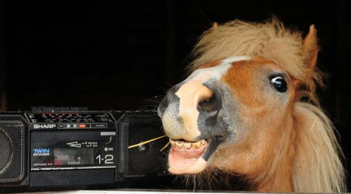 Весеолый конь