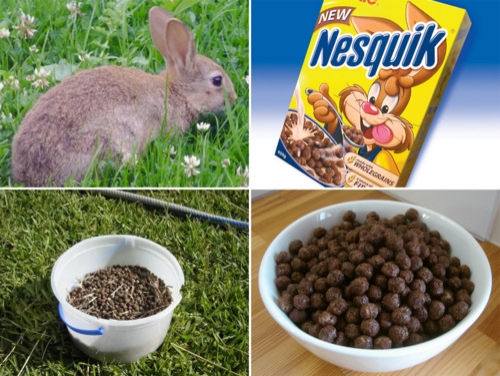 Безграничная фантазия