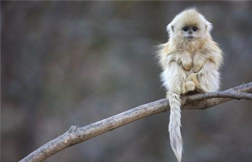 Маленькие няшки