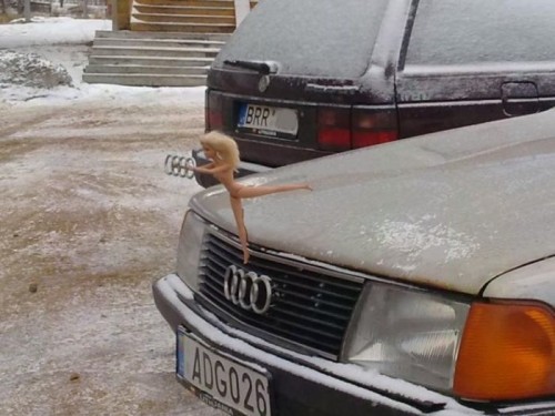 Смешные моменты