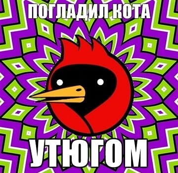 Омская птица