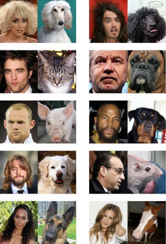 Близнецы звезд