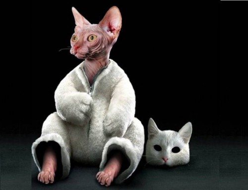 Секреты животных