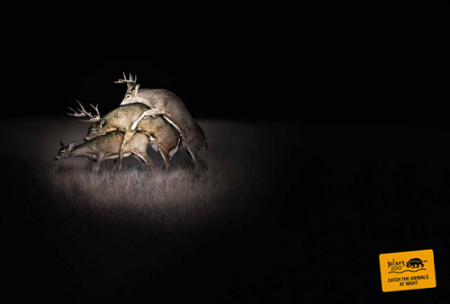 Компромат +_+