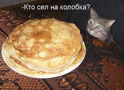 Прикольные котоматрицы
