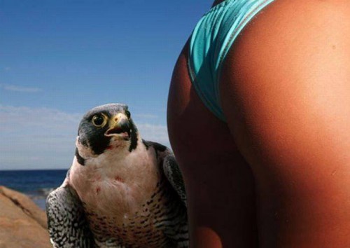 Смешные фотоприколы