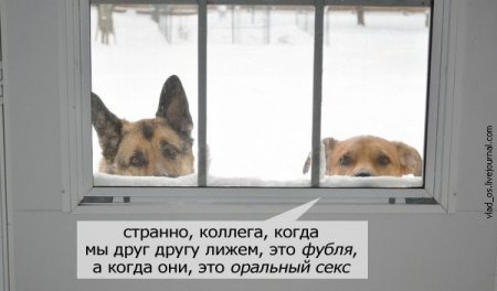 Обида