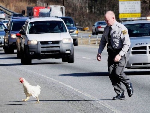 Фото - приколы