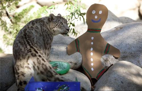 Друг леопарда