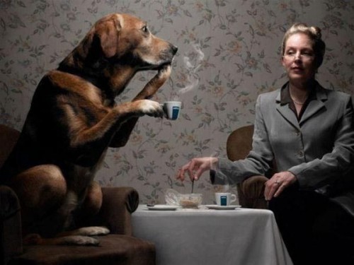 Женщина и собака