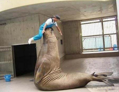 Артисты пластики!