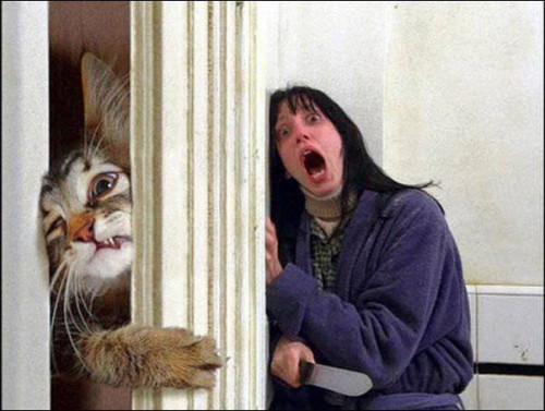 Фото с юмором