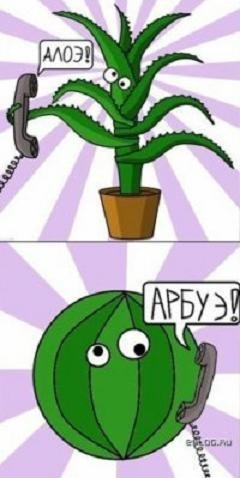 Телефонный разговор