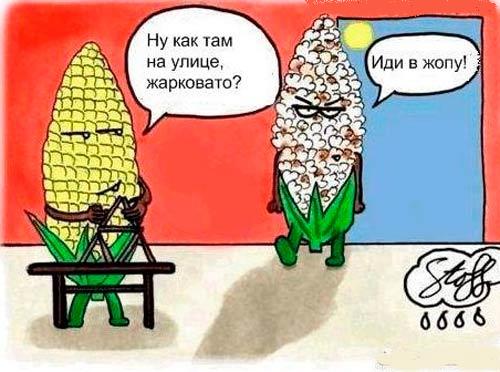 Кукуруза перегрелась