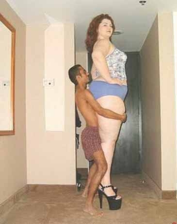 Слон и Моська