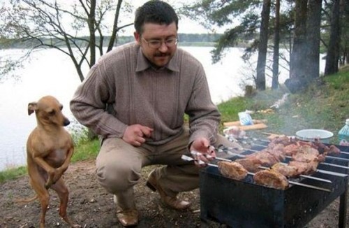 Мяска-то хочется