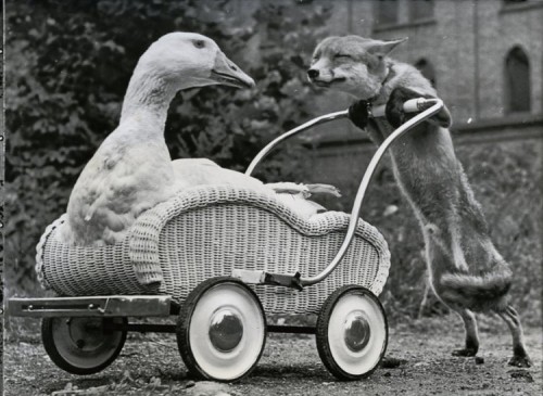 Приготовление обеда