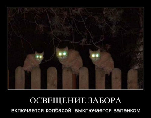 Подборка демотиваторов