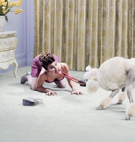 Смешные фотокреативы