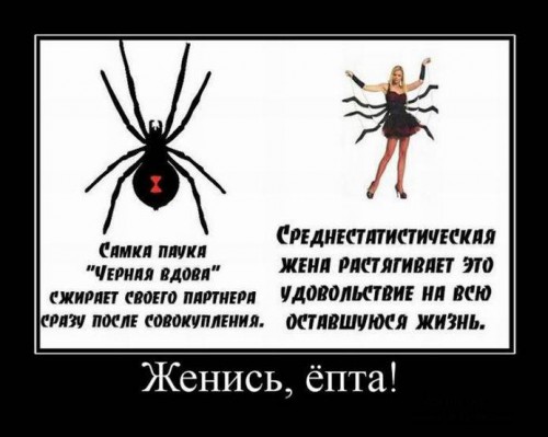 Демотиваторы с юмором