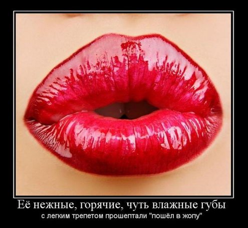 Подборка веселых демотиваторов