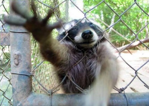 Я буду говорить только в присутствии своего адвоката!!