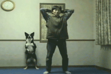 Суперские животные (gif)