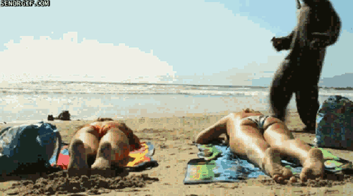 Приколы про девушек (gif)