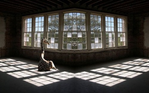 Ниче так загарчик