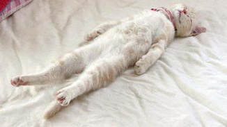 Прикол про старость