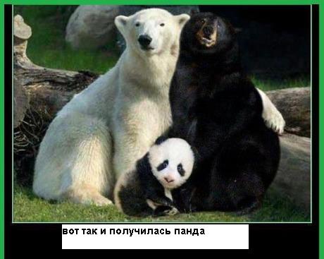 Веселая зоология