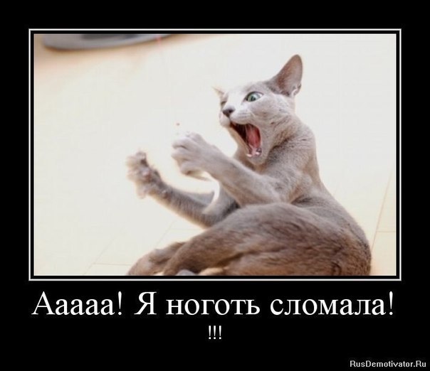 Женщины такие женщины) Прикольный демотиватор