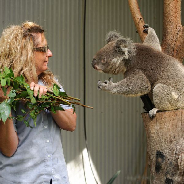 Не беси меня, женщина!