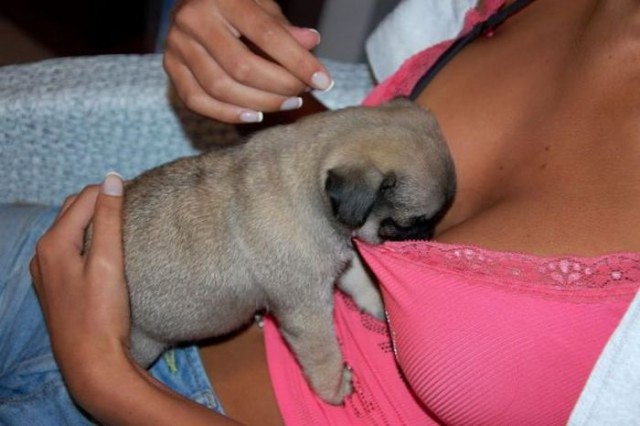 Хорошо устроился