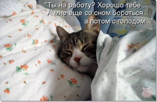 Уже на работу?