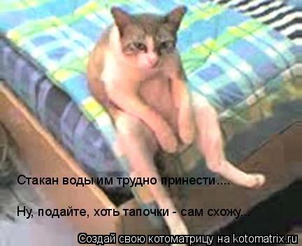 Котэ обижака