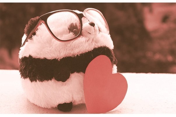 Панда - няшка