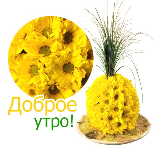 Весенние картинки 