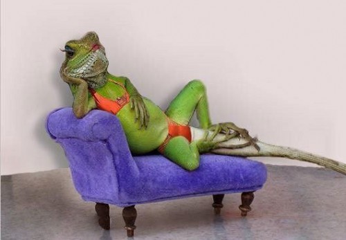 Животные в образе людей