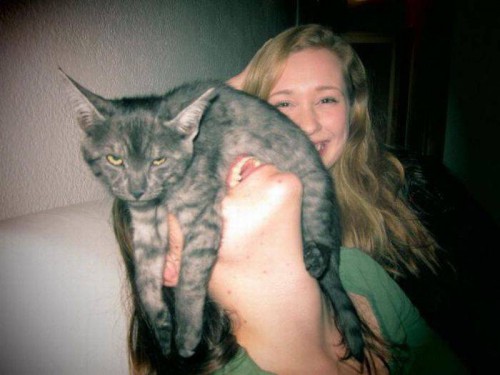 Фотоприколы для хорошего настроения