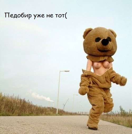Приколы про педобира