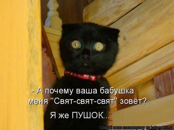 Подборка прикольных котоматриц