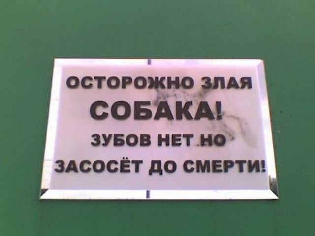 Прикол про собаку