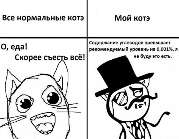 Комиксы про котов